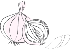 onion-illustration